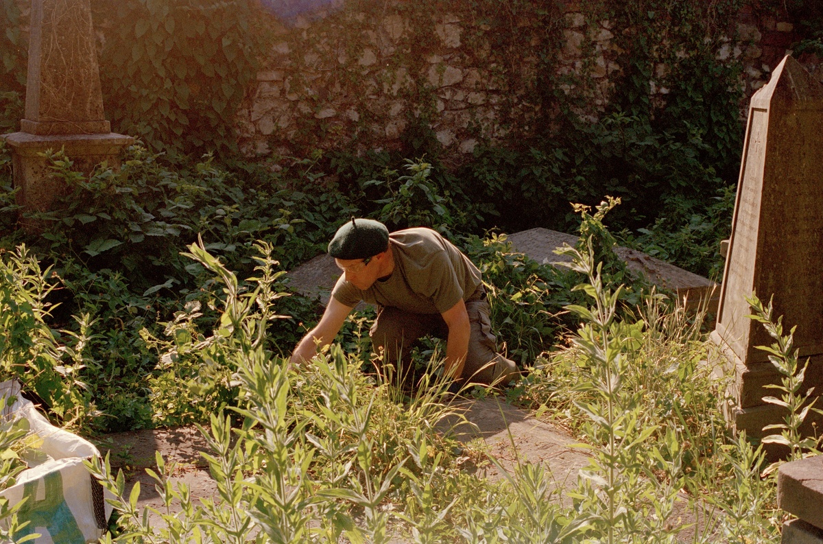 Gardening 11